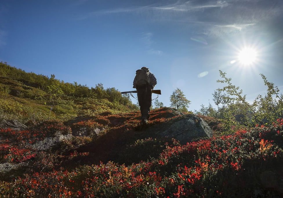 Foto: Steinar Johansen