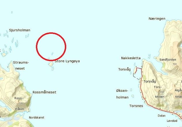 Kartutsnittet viser området der båten kantret.